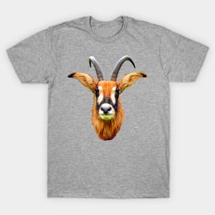 Roan Antilope T-Shirt